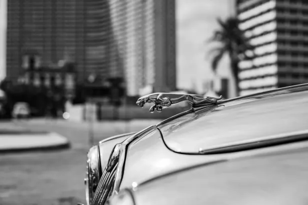 BetRegal Casino Aip Android/iOS